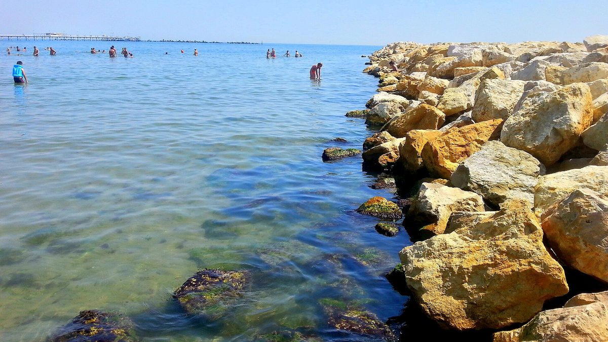 Dobrogea își pregătește candidatura pentru Regiunea Gastronomică Europeană 2029