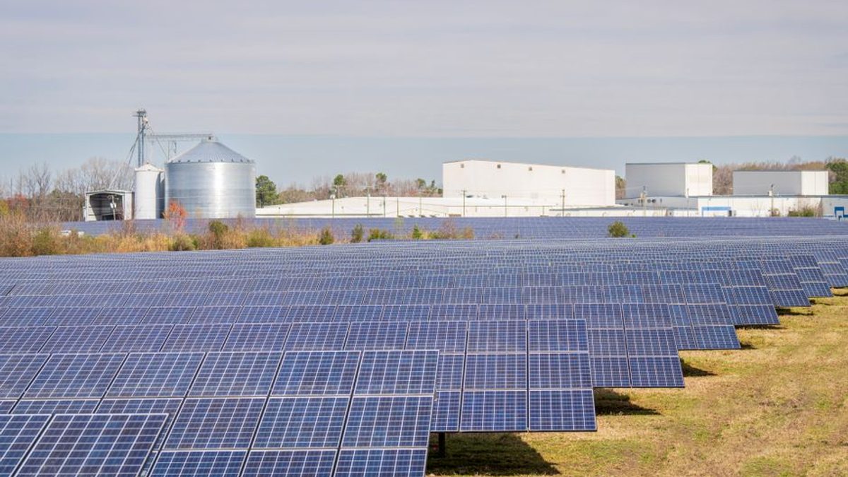 Sistemul Energetic al României: Fluctuații Zilnice și Rolul Energiei Solare