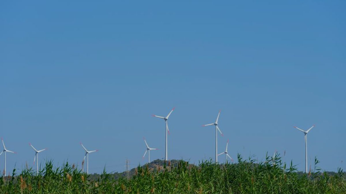 Sistemul Energetic Local, Susținut de Vântul Puternic din Dobrogea