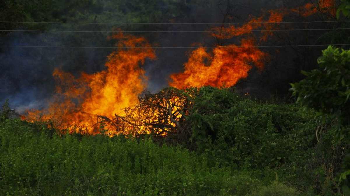Pompierii români intervin pentru stingerea incendiilor din Serbia