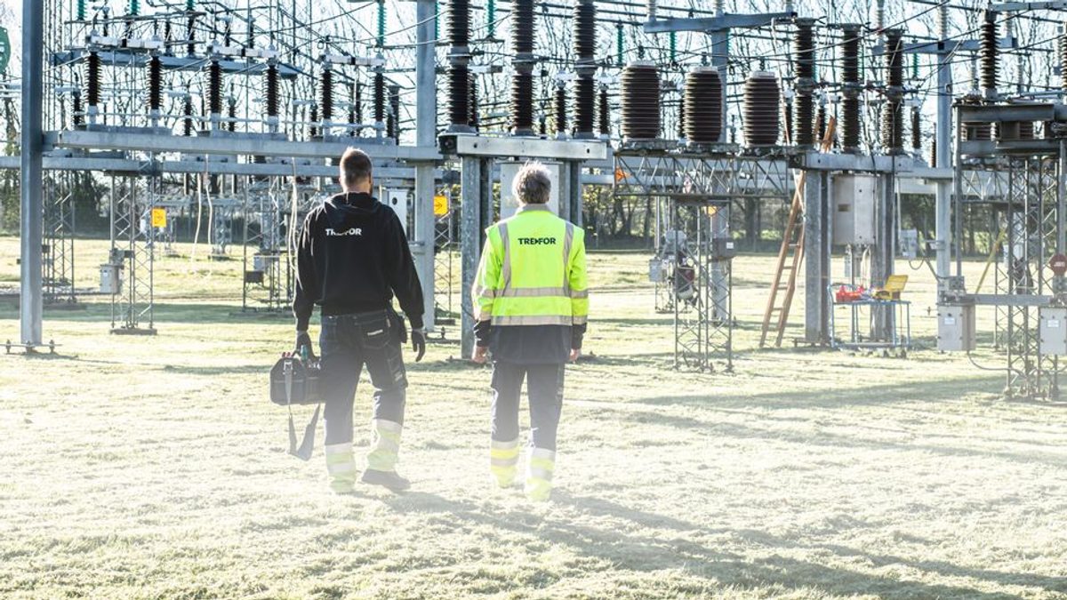 Activist climatic suspectat de sabotaje asupra rețelei electrice din Germania
