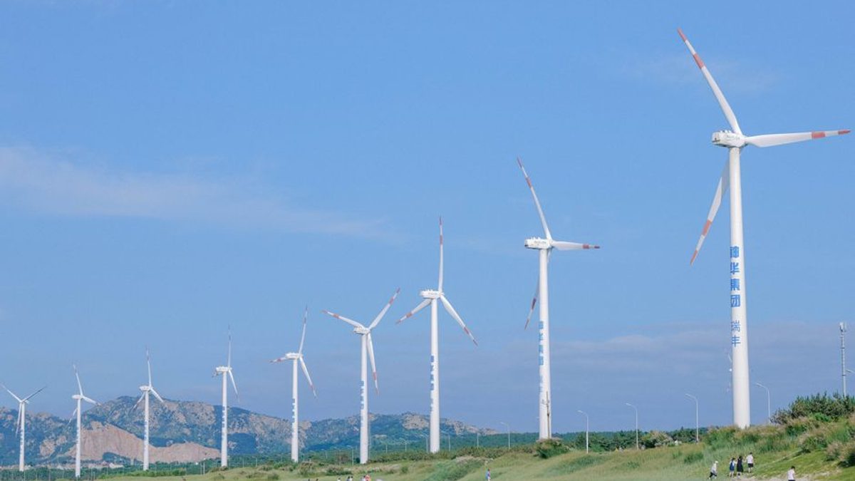 Șapte turbine de 7 MW vor fi instalate în parcul eolian Cobadin 1