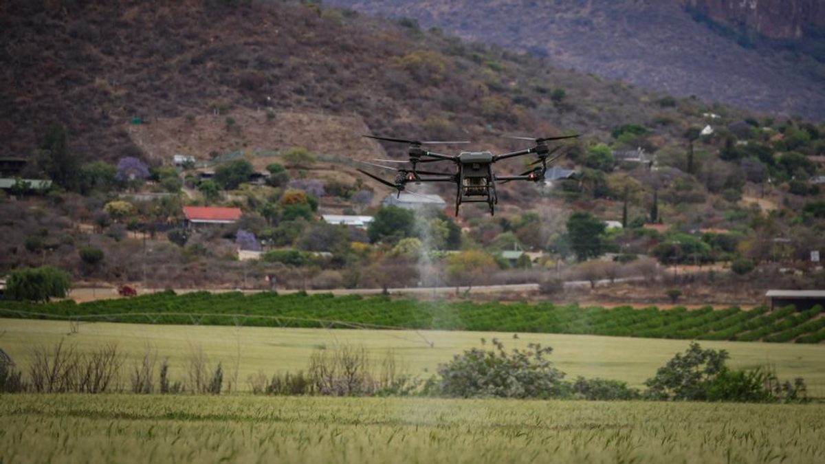 UE pregătește noi finanțări pentru startup-uri din agricultură și foodtech