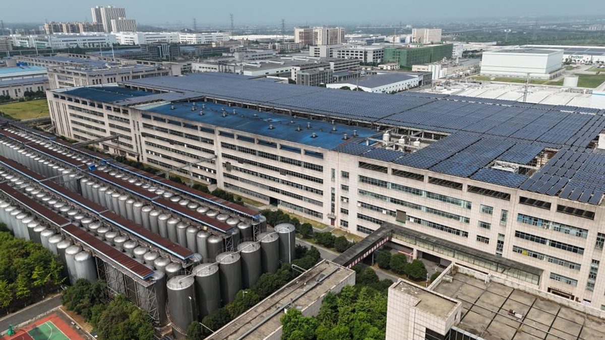 Ford Otosan investește 36,45 milioane de lei într-un parc fotovoltaic la Craiova