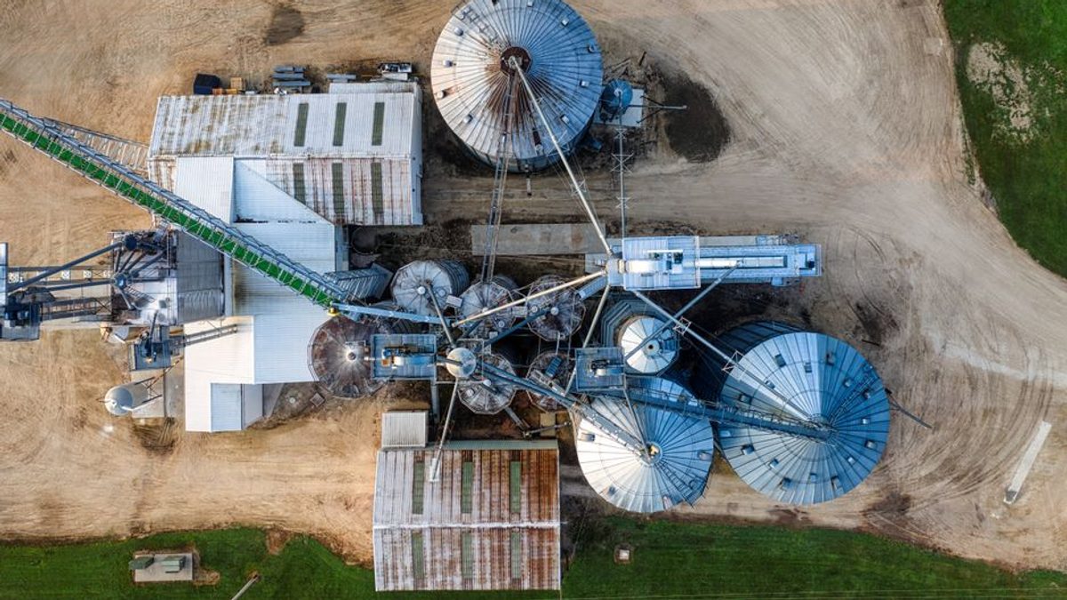 Cooperativă de fermieri, investiție de 45 de milioane de euro într-o fabrică de ulei
