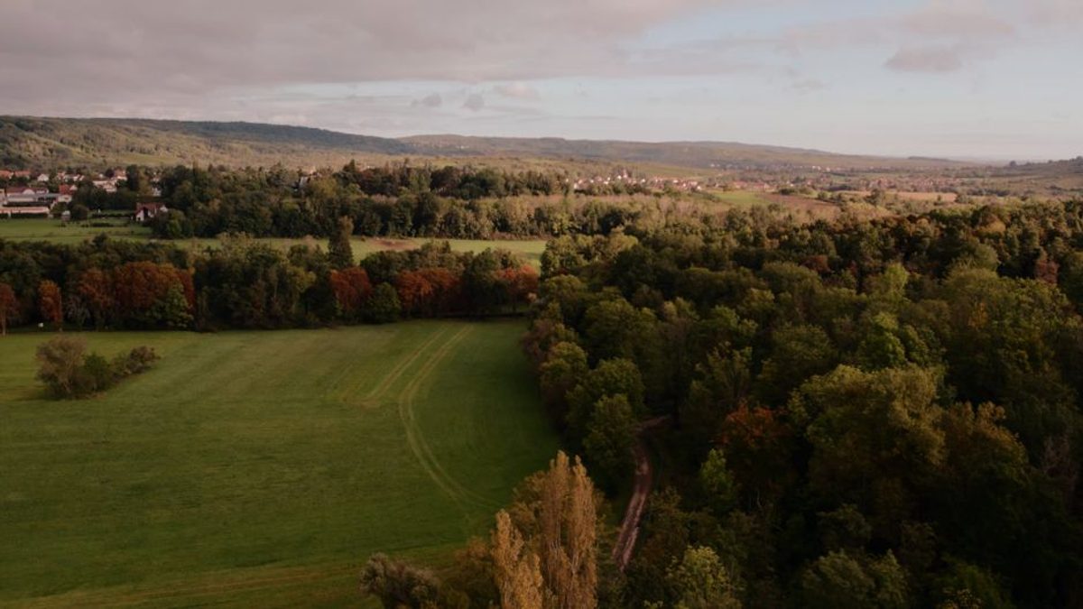 Mai multe drone au survolat spațiul aerian al Republicii Moldova
